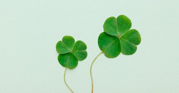 Irish - Clover on Green Surface