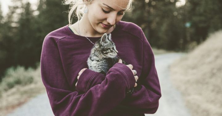 Pet Care - Selective Focus Photography of Woman Wearing Purple Sweater Holding Silver Tabby Cat