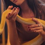 Pet Care - A Woman Holding an Albino Python