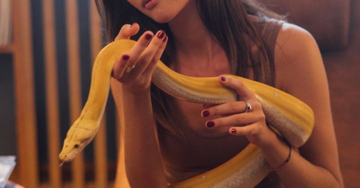 Pet Care - A Woman Holding an Albino Python