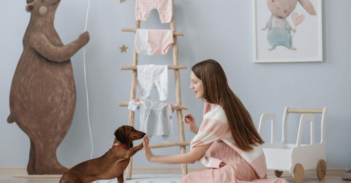 Pet Care - A Pregnant Woman Training Her Dog